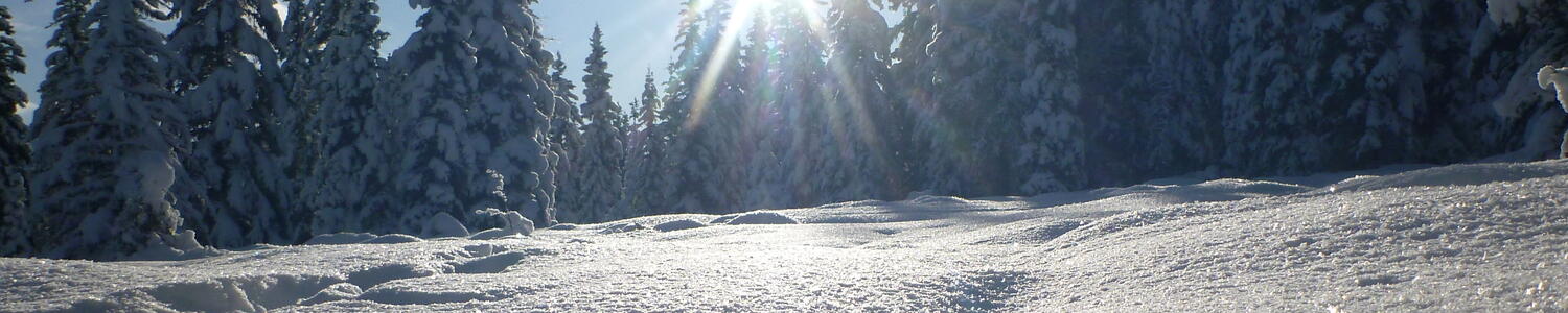 surface hoar in sun