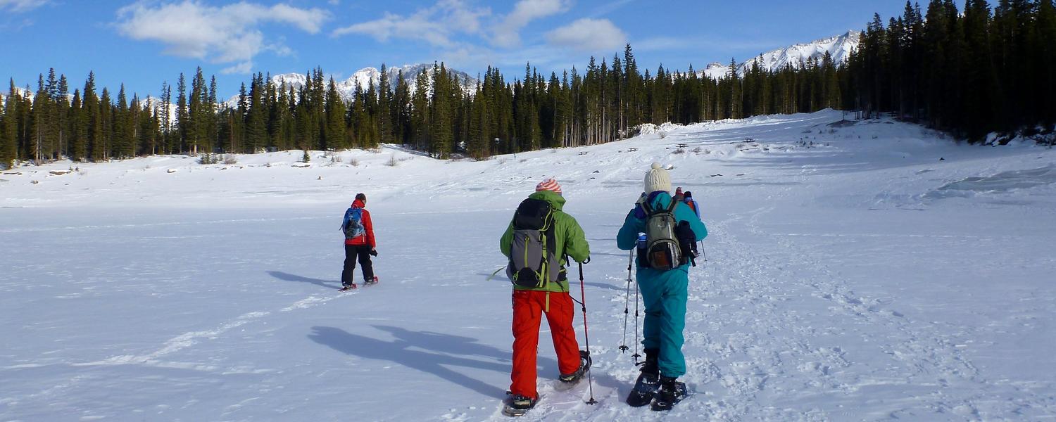 Snowshoeing