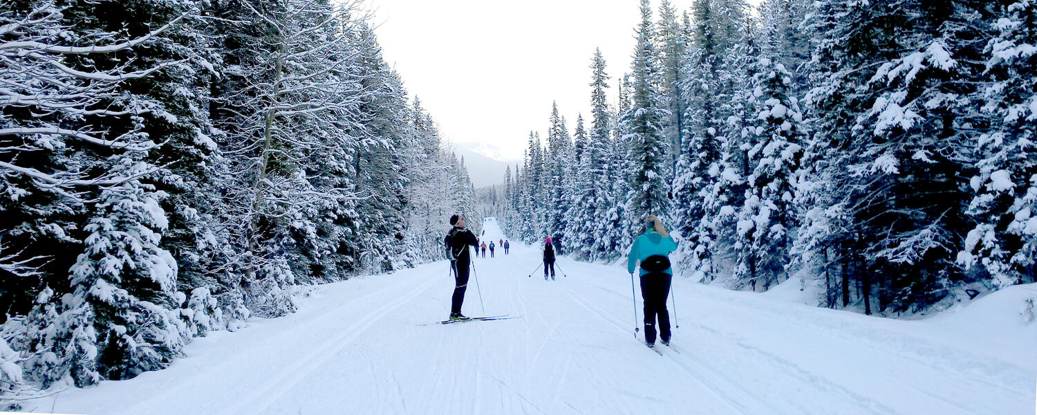 CrossCountry Skiing Outdoor Centre University of Calgary