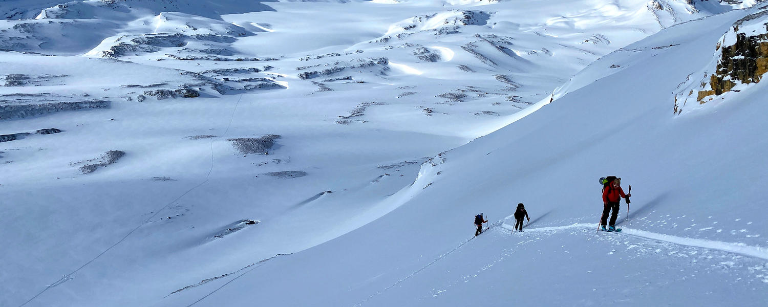 skiers ascending slope