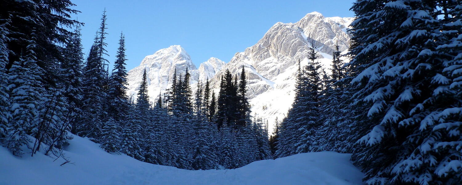 Sunlit mountains behind snowy trail