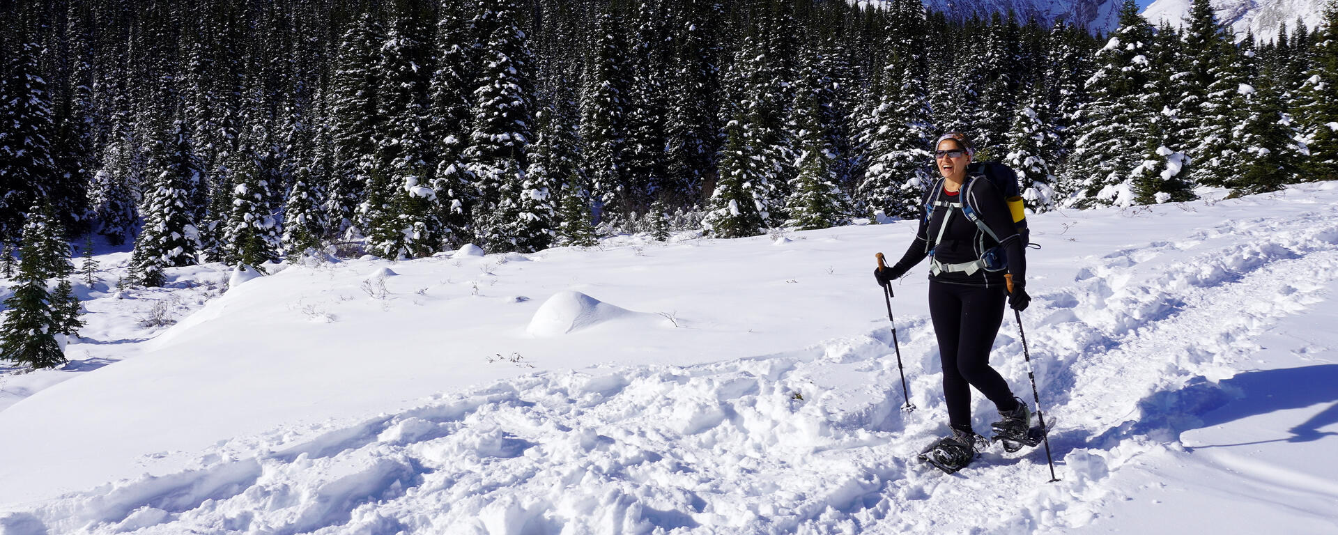 snowshoer