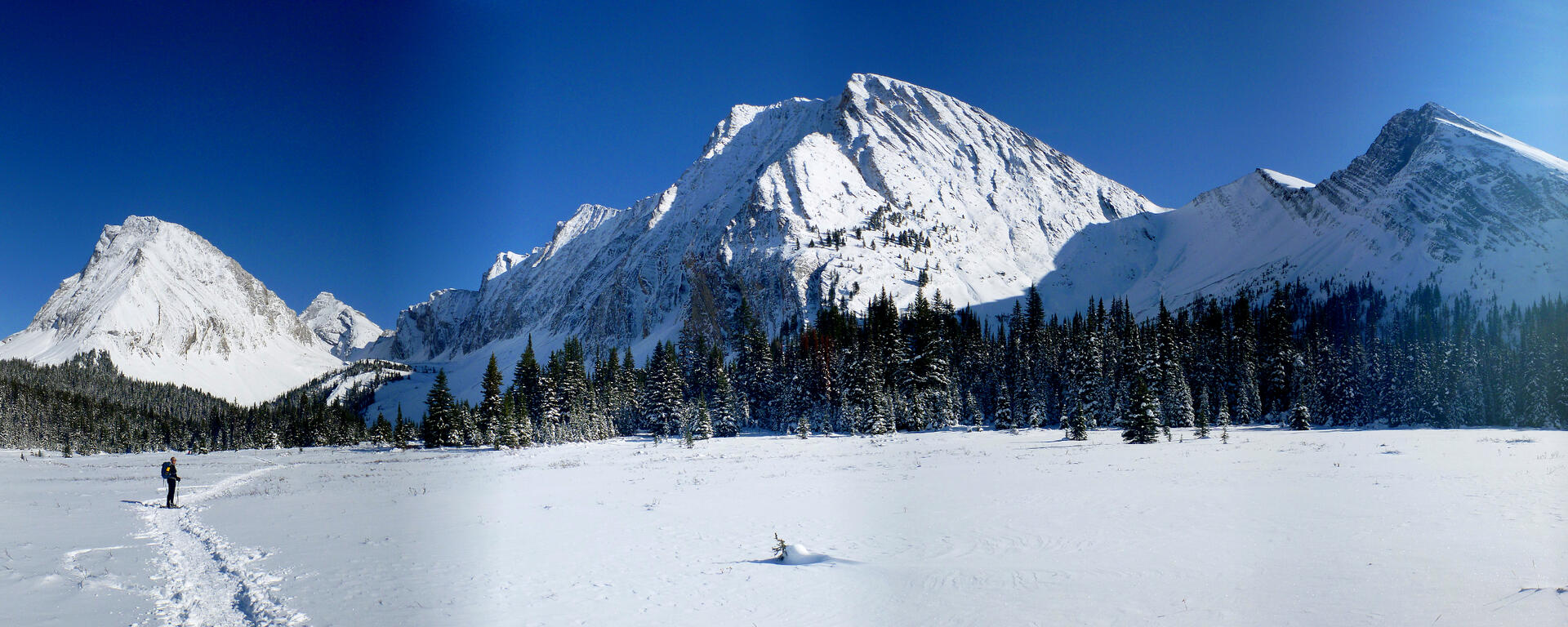 snowshoer on open trail with forest and mountains behind