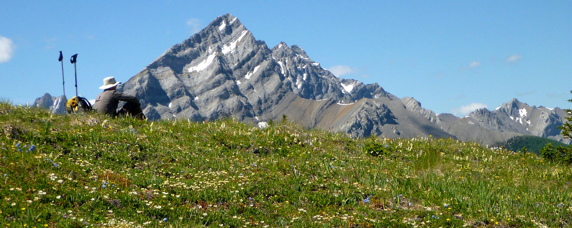 hiker rests atop flowery hillside with mountain behind