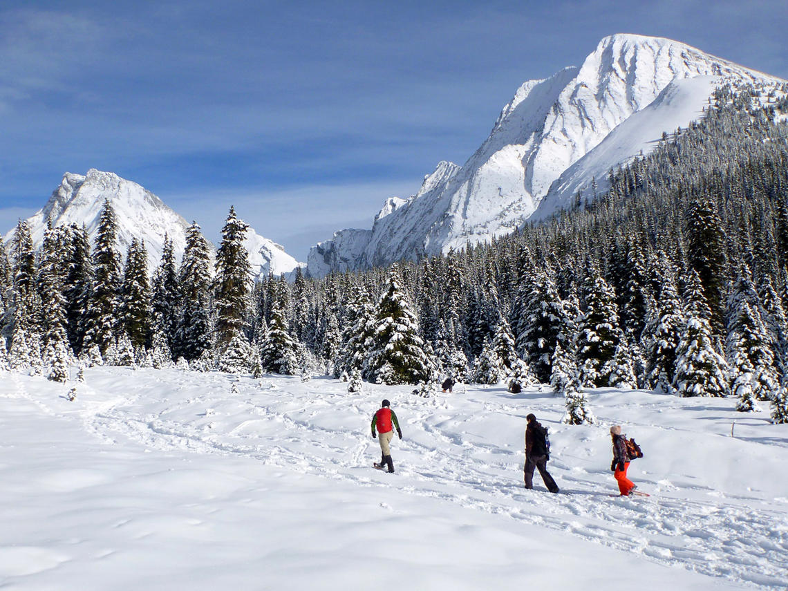 Snowshoeing