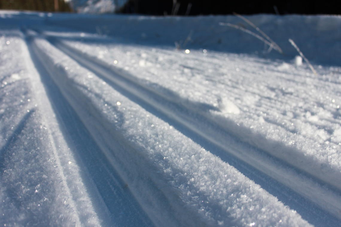 CrossCountry Skiing Outdoor Centre University of Calgary