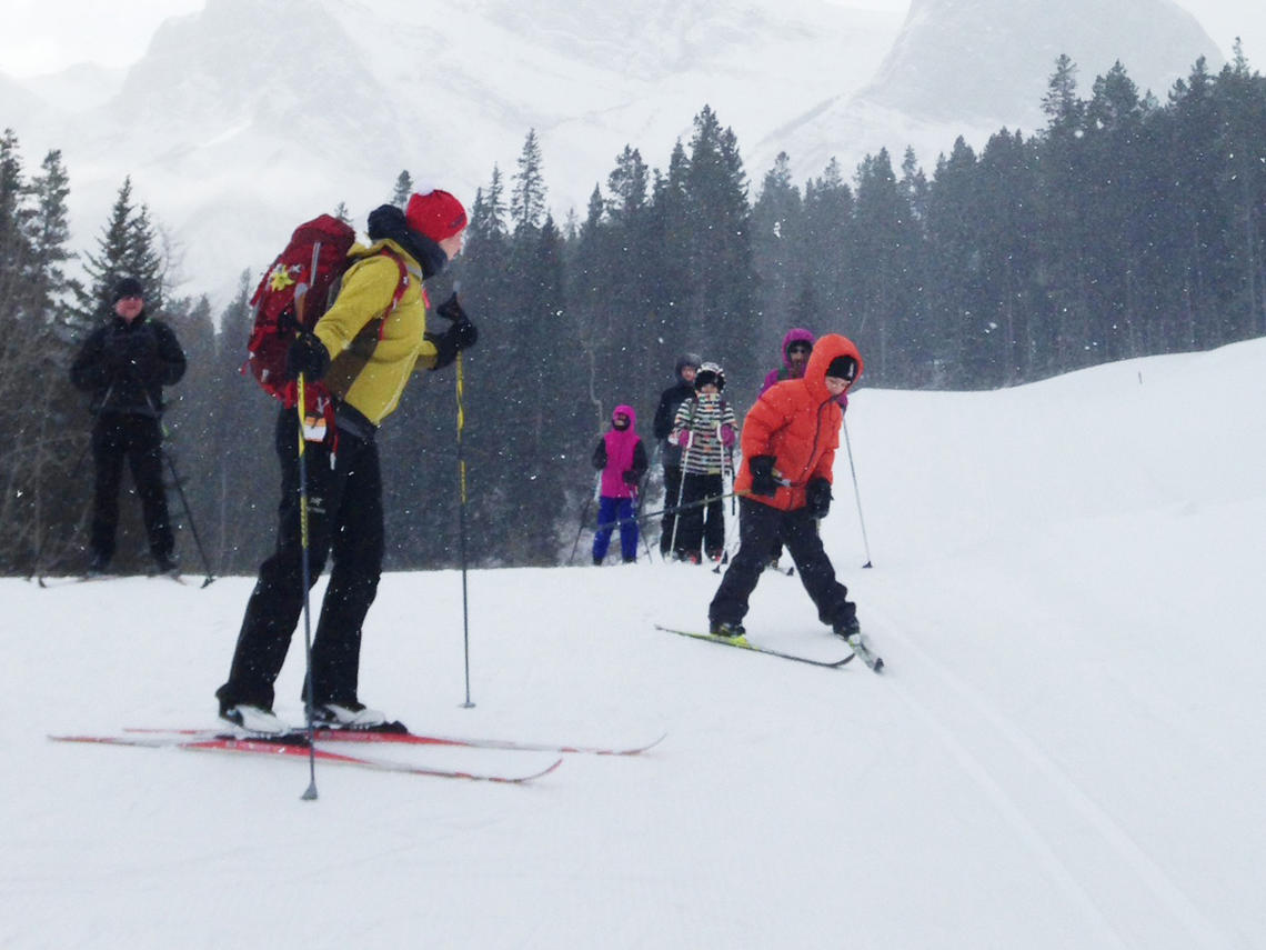 jackrabbits and bunnies cross-country skiing