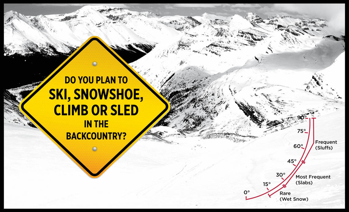 Avalanche board