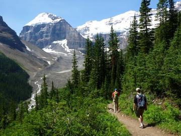 two hikers walk on open forest trial with snowy mountains behind