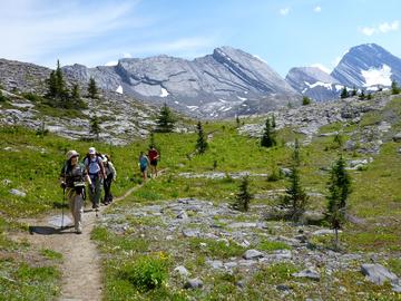 hikers approach on open trail through meadow with mountains behind