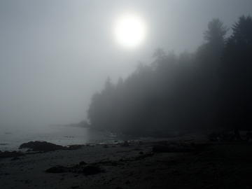 Sea kayaking fog west coast