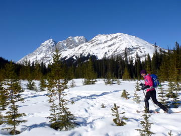 Burstall trail