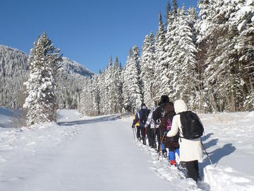 Lower Lake Trail