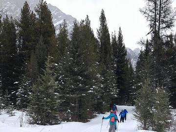 xc skiing