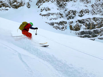 skier