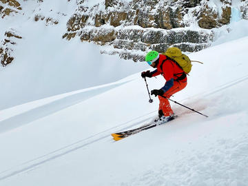 skier