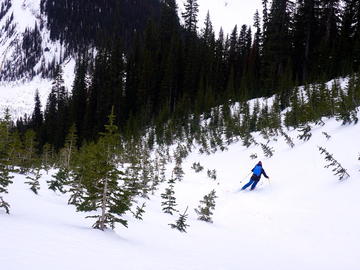 skiing