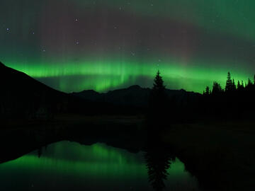 placeholder photo of aurora