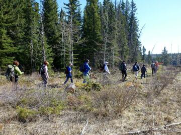 group walks through open field with trees behind