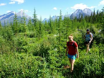 two women hike through overgrown terrain with mountains behind