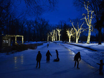 ice canal at night with light-wrapped trees
