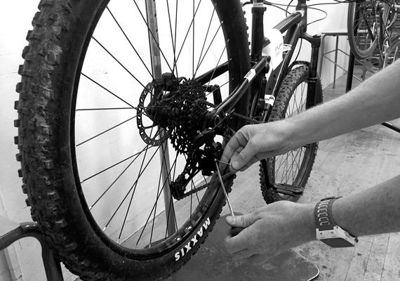 bike repair service