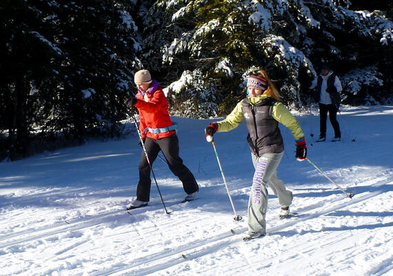 skiers on groomed XC grid with forest and additional skiers in background