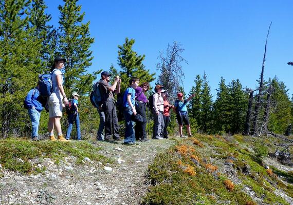 group of hikers stand at the top of a slope looking out