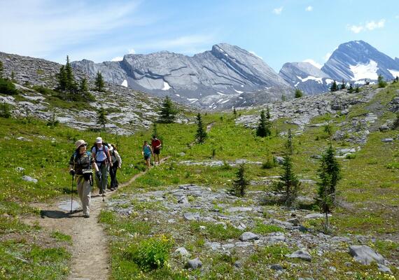 group of hikers approach on trail through meadow with mountains behind