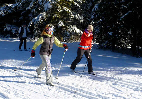skiers on groomed XC grid with forest and additional skiers in background