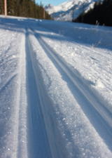 xc ski